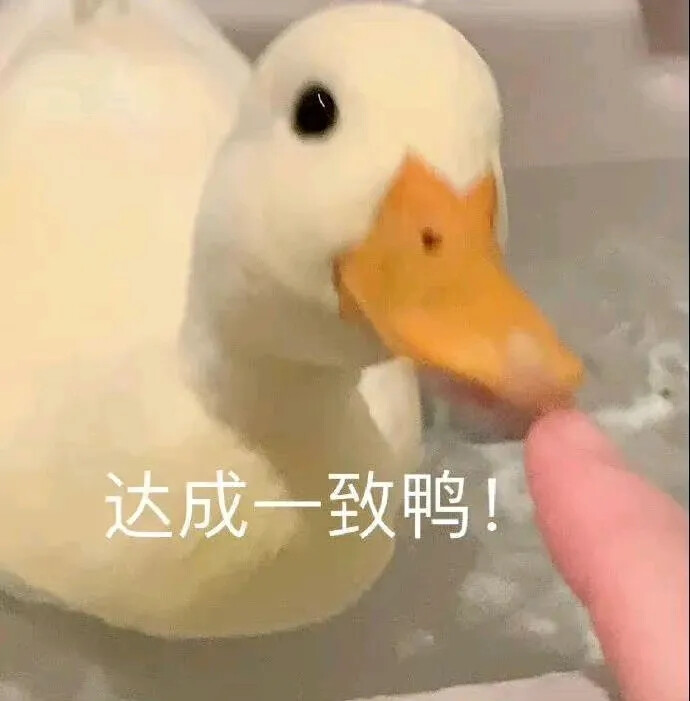 抖动表情包