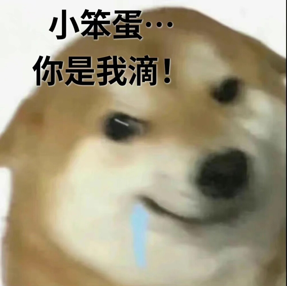 表情包