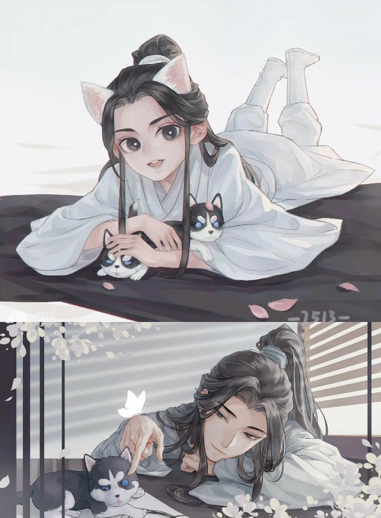 二哈和他的白猫师尊