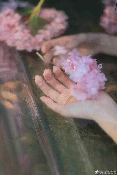 _水光
出镜@-栗崽-
摄影@z琼之之之
#重庆约拍##少女写真# ​