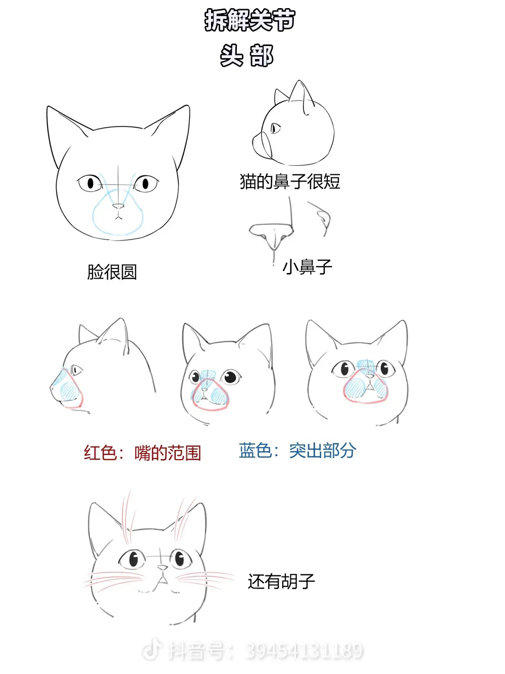 画猫教材