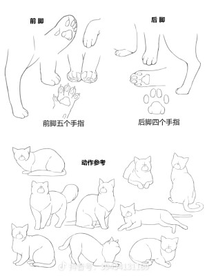 画猫教材