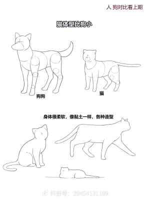 画猫教材