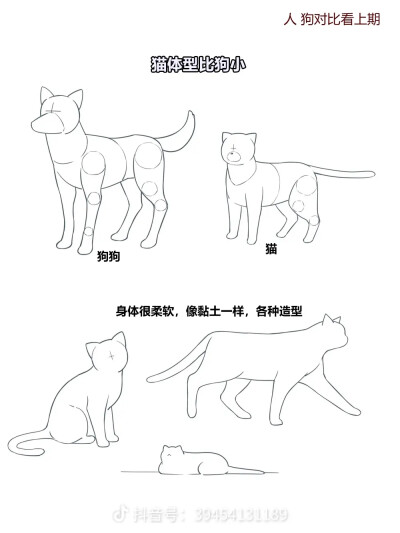 画猫教材