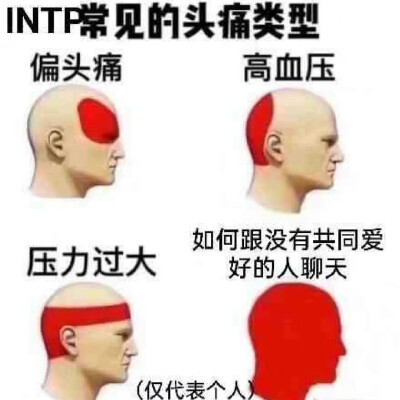 四处搜集intp