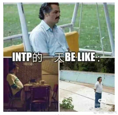 四处搜集intp