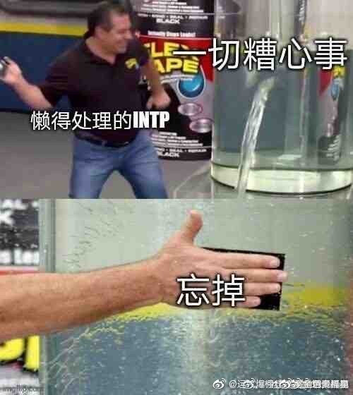 四处搜集intp