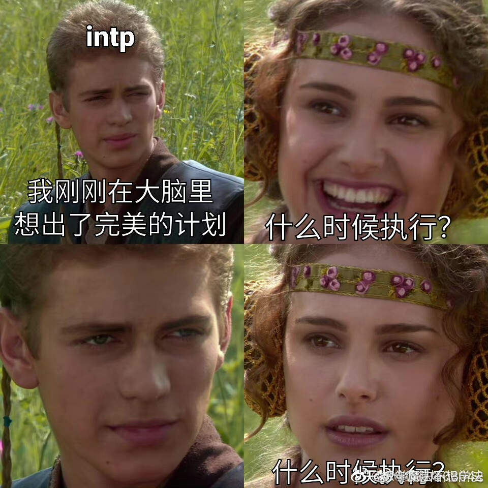 四处搜集intp