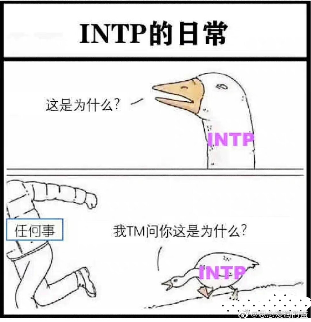 四处搜集intp