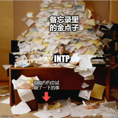 四处搜集intp