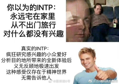 四处搜集intp