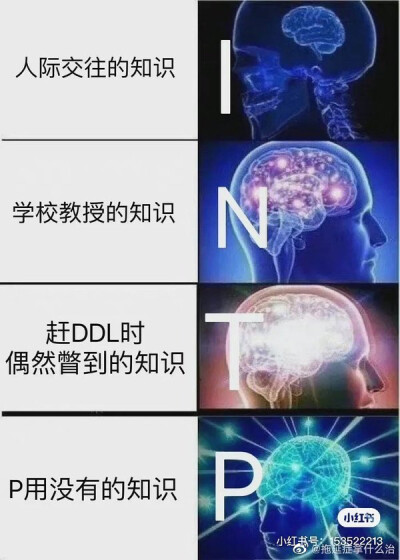 四处搜集intp