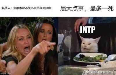 四处搜集intp