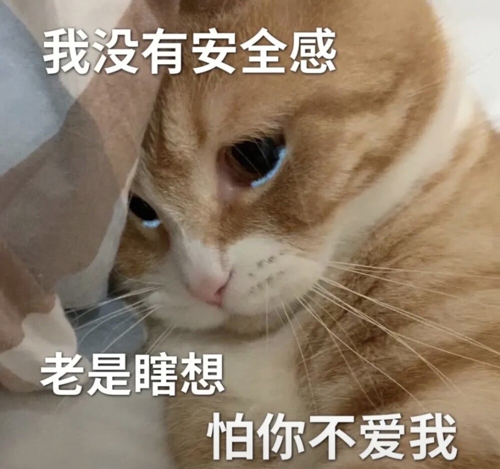 表情包