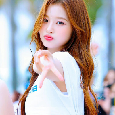 _iris_sy