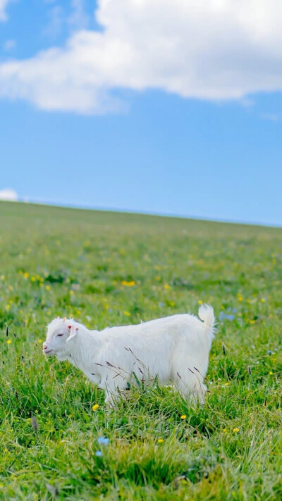 夏日