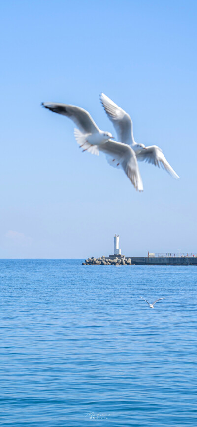 风景 壁纸