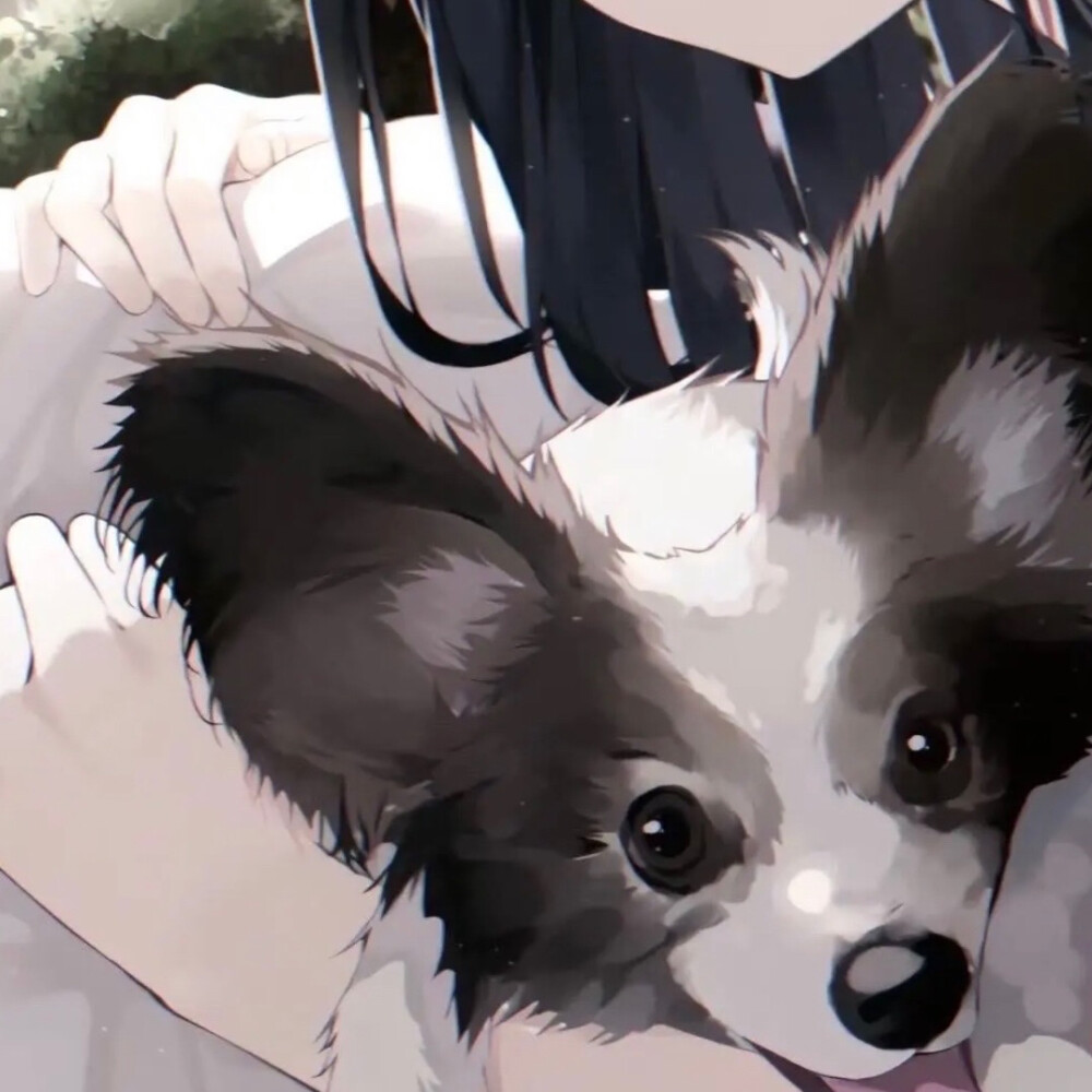 宠物情人
