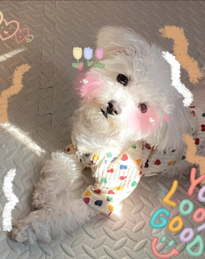 或许有人找我玩吗