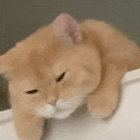 表情 可爱 搞怪