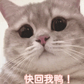 表情 可爱 搞怪