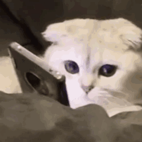 表情 可爱 搞怪