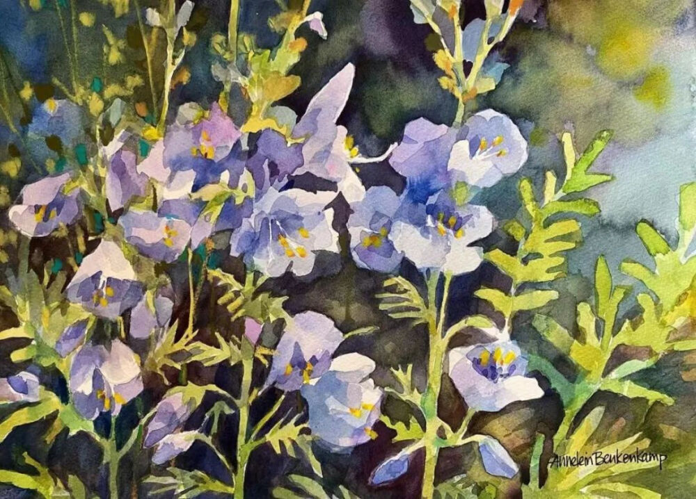 Annelein Beukenbamp 水彩艺术家 作者INS：abwatercolor