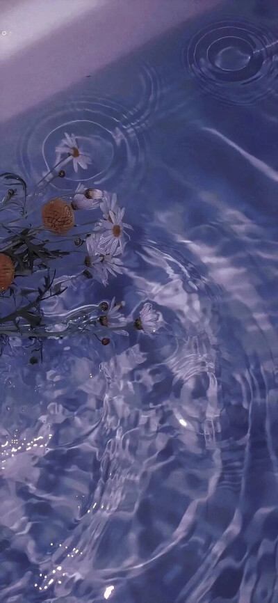 夏日壁纸【图源网络，侵权删】