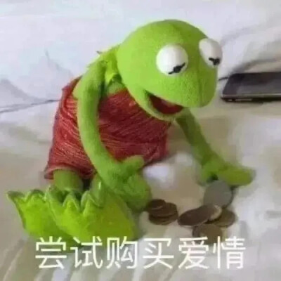 可爱的动物表情包
