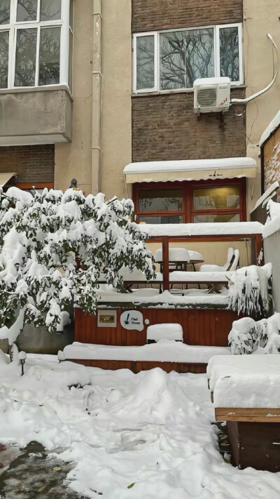 风景 花花壁纸