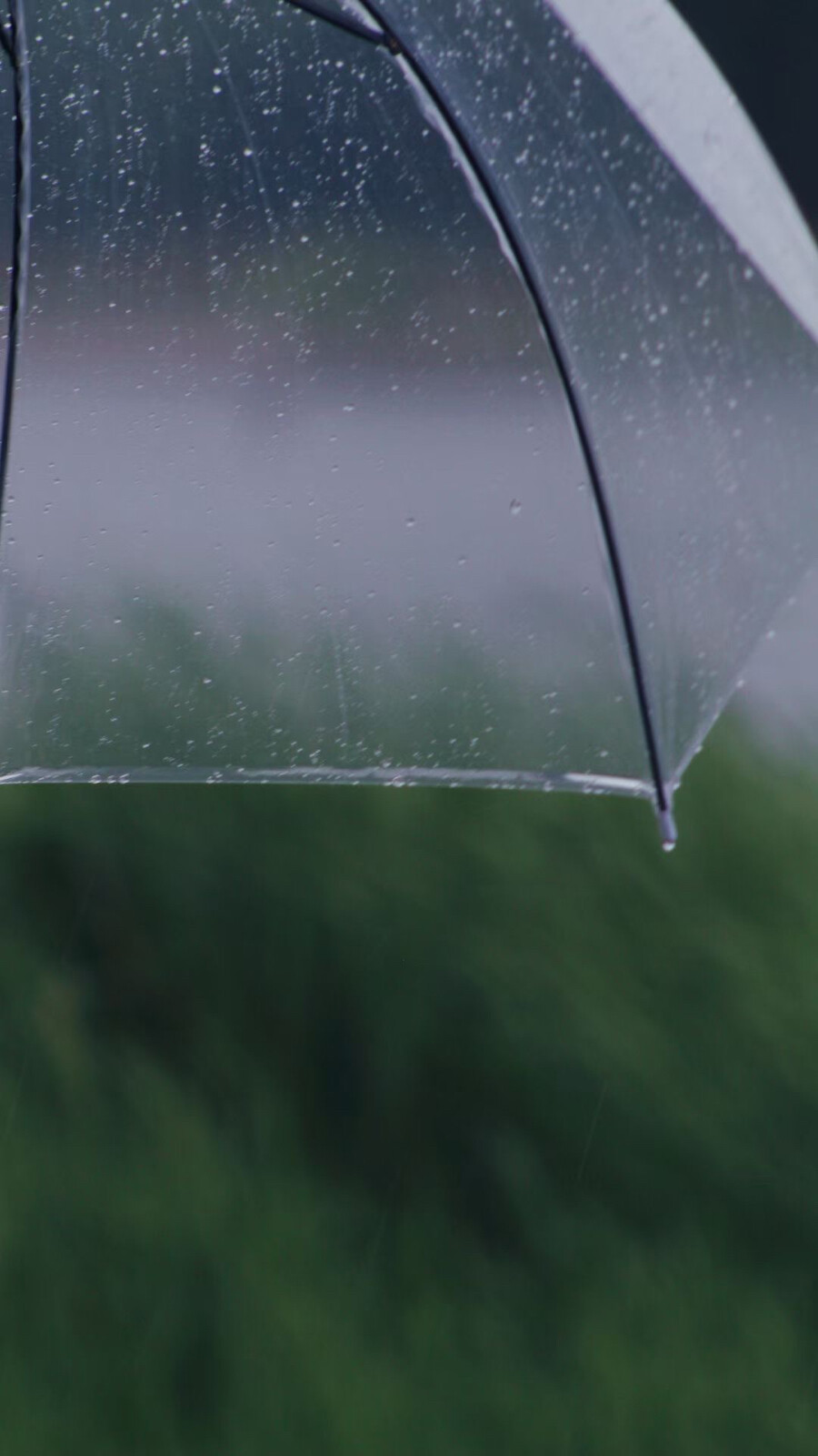 雨 壁纸 文艺