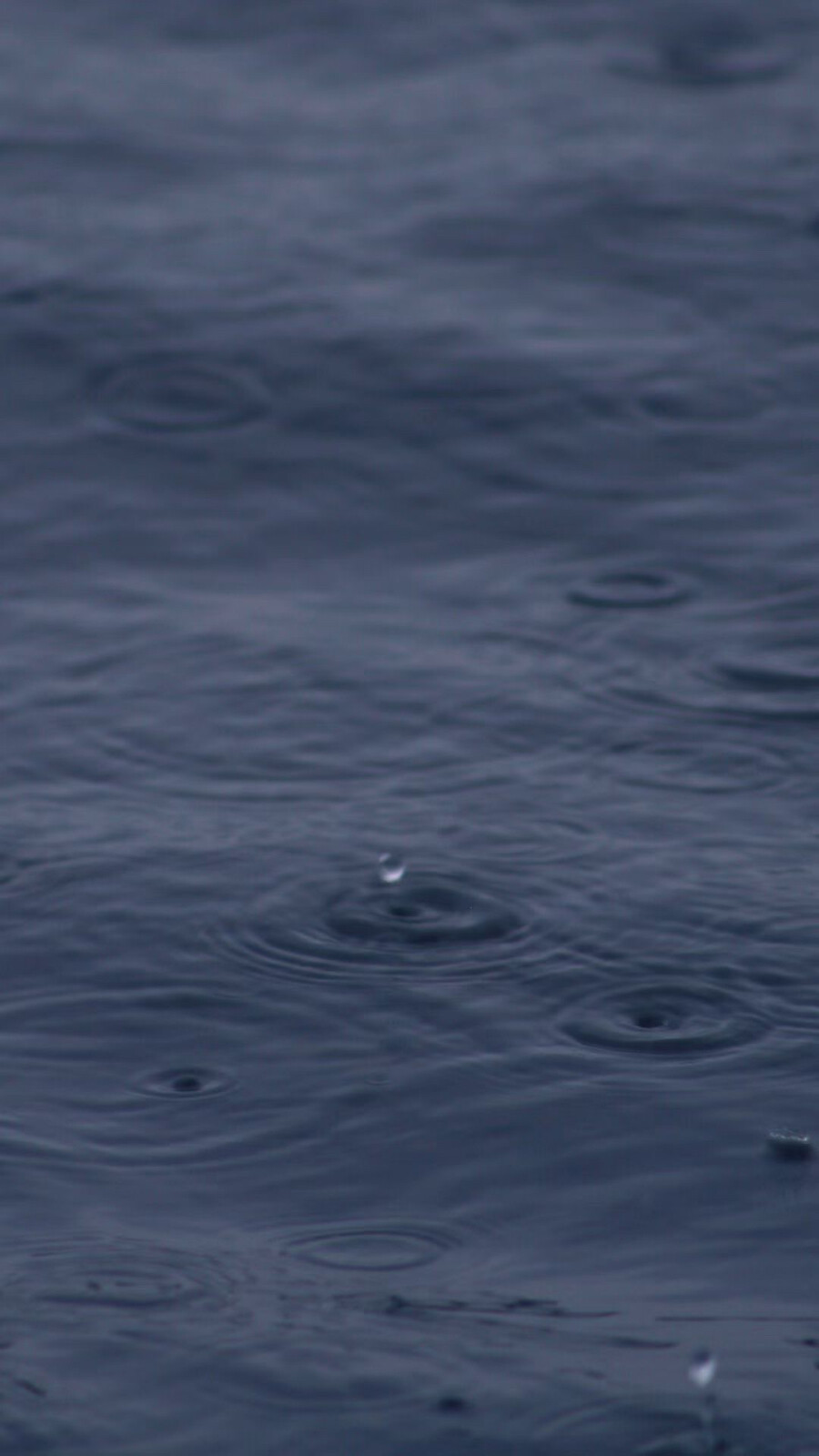 雨 壁纸 文艺