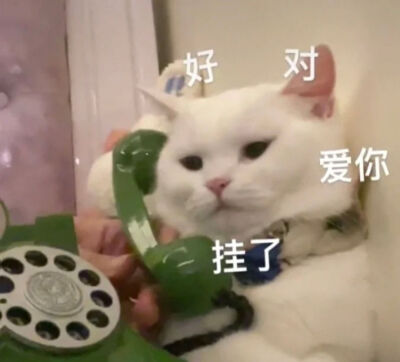 夏天绿色头像
