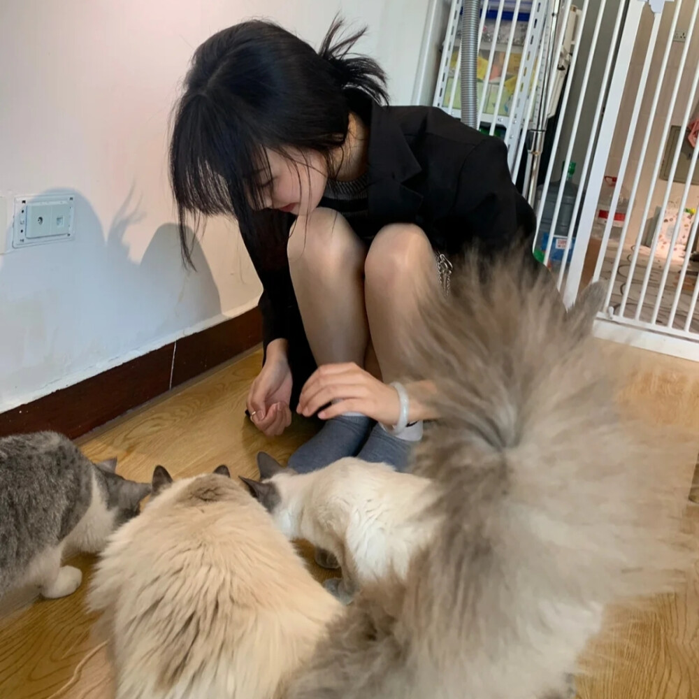 二传标明堆糖他所幸仍有光