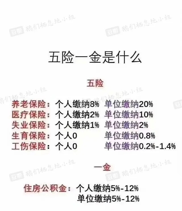 大白话理解五险一金