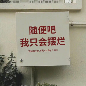 文字背景图