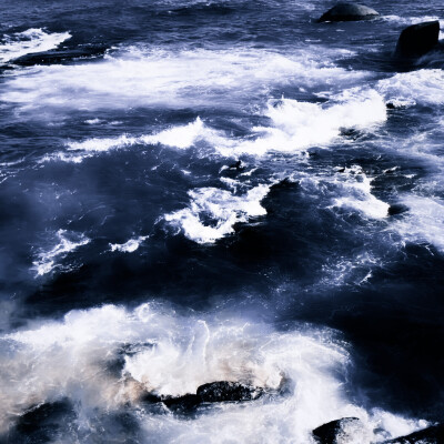 ✿ 刘 亦 菲 我生来便是一身傲骨 岂会轻易低头