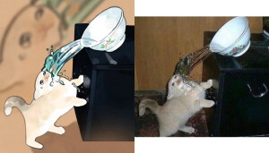 「GENTLECAT」太太最新绘制二次元猫猫.......真的超可爱 
twi：gentleeeeeeecat ​​​