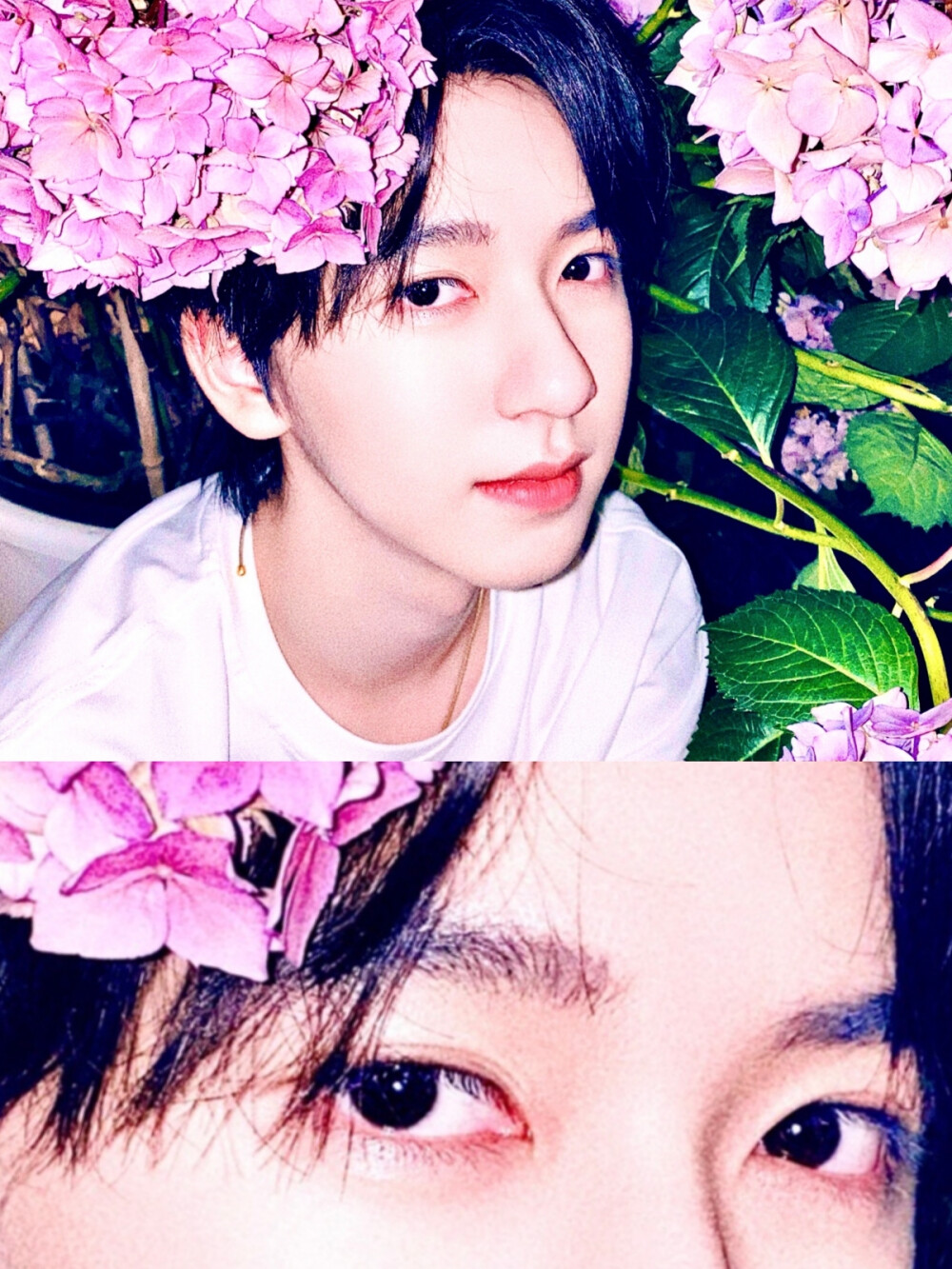 自修|贺峻霖 玫瑰可以在荒野盛开,深海也可以拥有星光