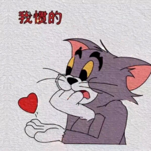 猫和老鼠
情头