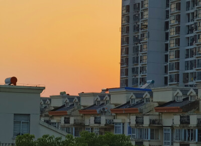 背景图 杂七杂八 夕阳落日 美食 花朵