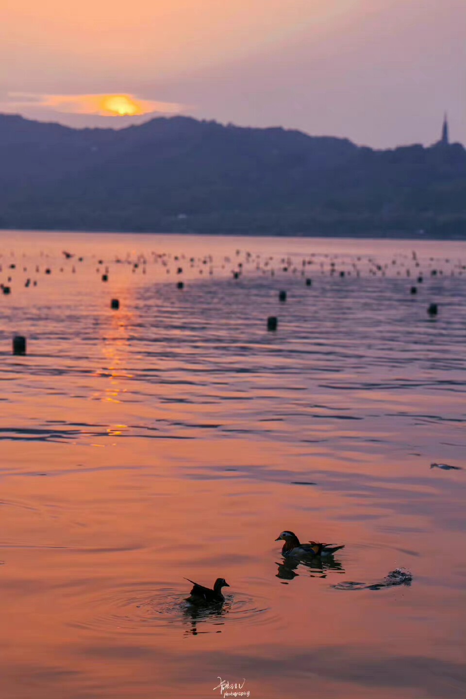 西湖夕阳