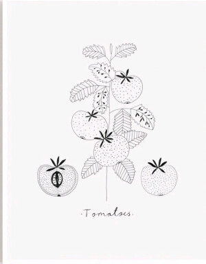 素线小画，插画师 Ryn Frank