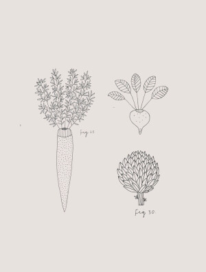 素线小画，插画师 Ryn Frank