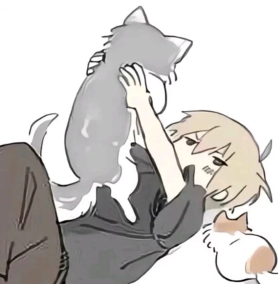 猫