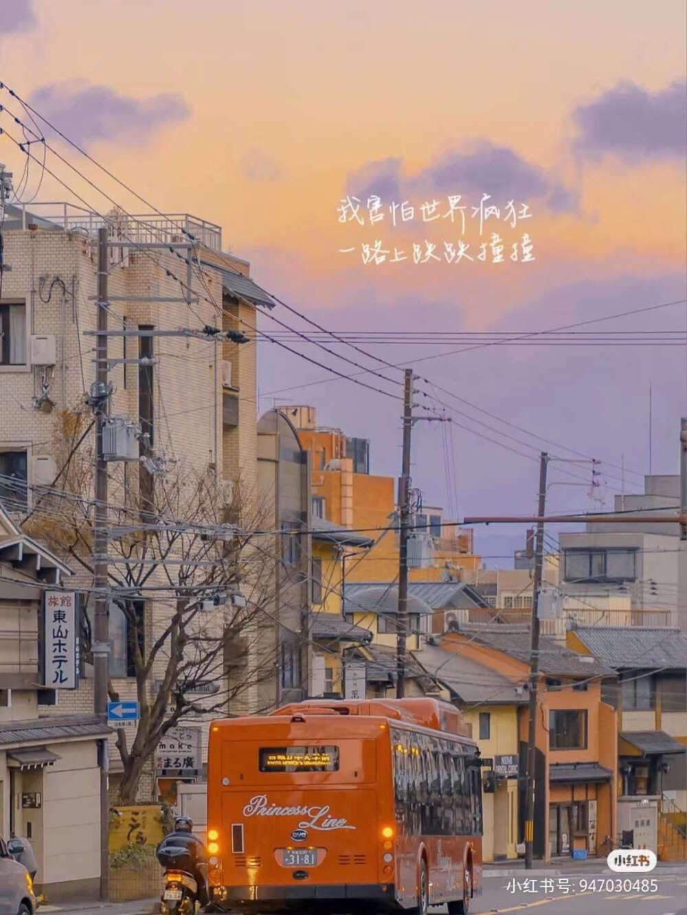 真人背景