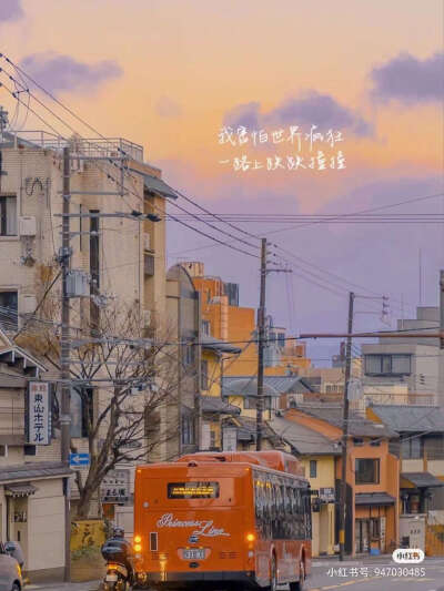 真人背景