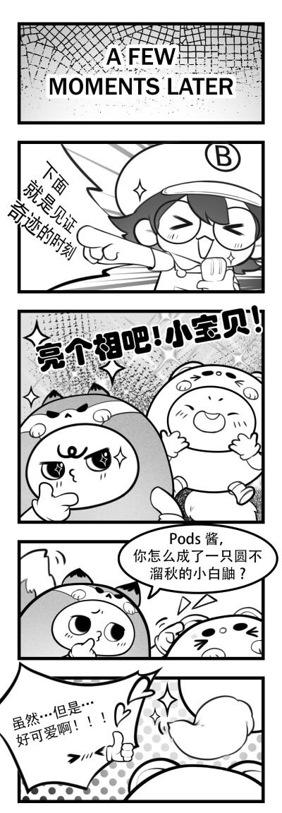 一帘红雨桃花谢，朝暮共度游怜城。快来看看本酷盖的新造型吧～