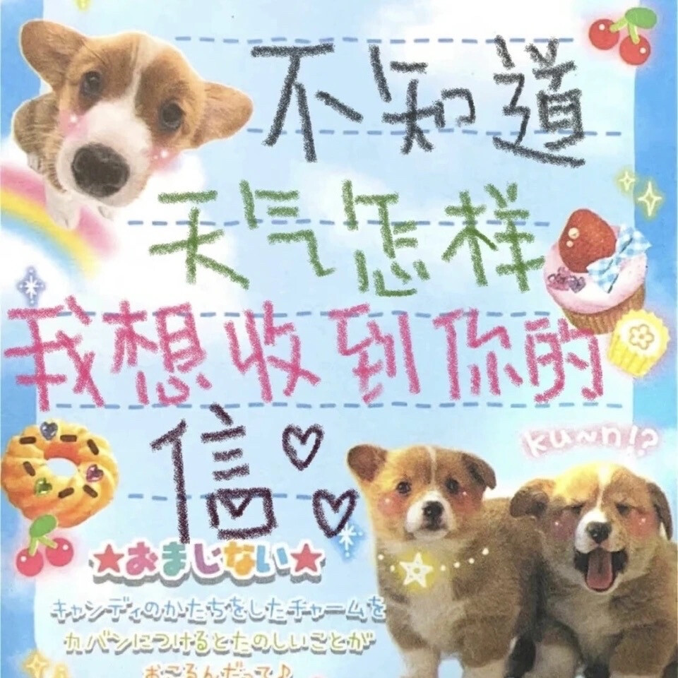 小狗文学