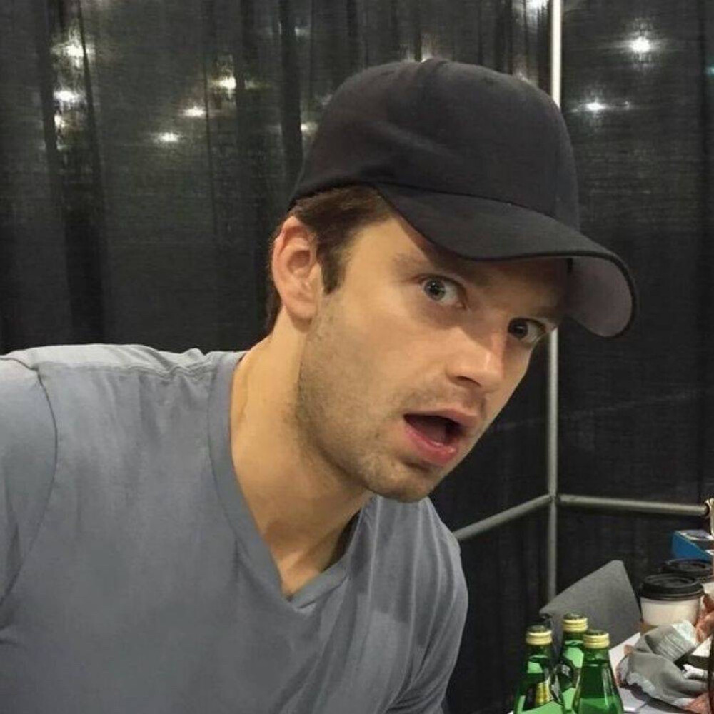 Sebastian Stan